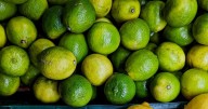 Agricultores denuncian violencia, tras asesinato del líder limonero, Bernardo Bravo