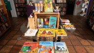 Hispanic authors and bookstores push for representation in publishing
