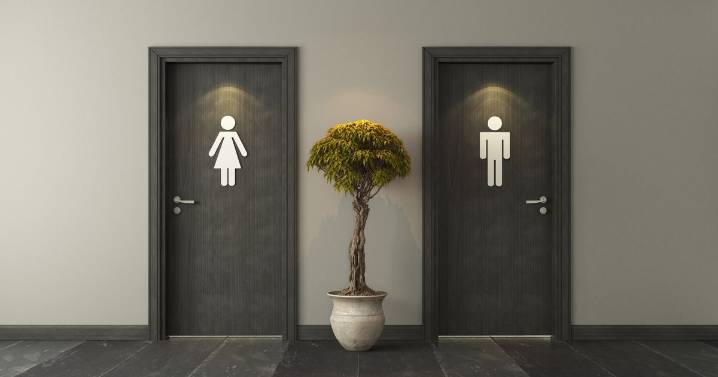Scots woman 'gaslighted over trans toilet fears', tribunal told