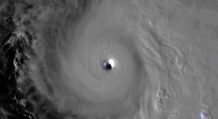 Tres fallecidos en Jamaica por corte de árboles ante la llegada del huracán Melissa