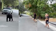 Ángel Correa es Sorprendido por un Oso Mientras Paseaba con su Familia en San Pedro, Nuevo León