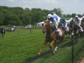 Winterthur pauses Point