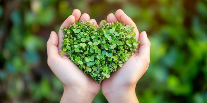Día Mundial de la Protección de la Naturaleza: 10 destinos líderes en turismo sustentable