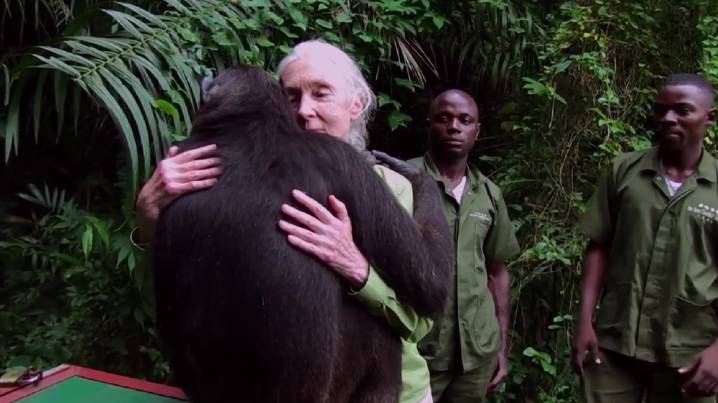 Muere a los 91 años la etóloga británica Jane Goodall