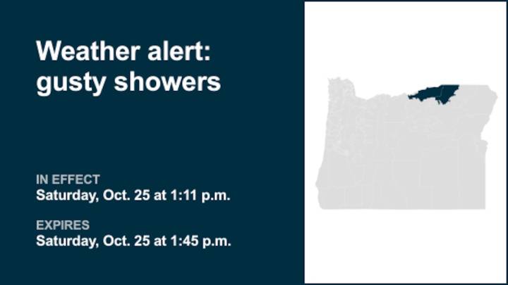 Weather alert for gusty showers Saturday afternoon