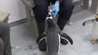 Animal encounters get you up close to marine life at Loveland Living Planet Aquarium