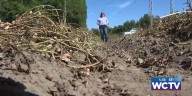 Drought leaves severe impact on farms and crops across South Georgia