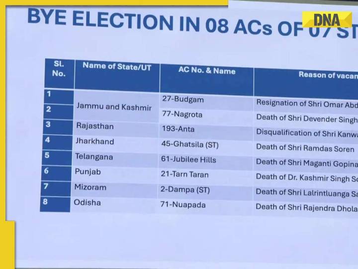 Bypolls in 8 Assembly seats across 7 states to be held on Nov 11: Check list, co