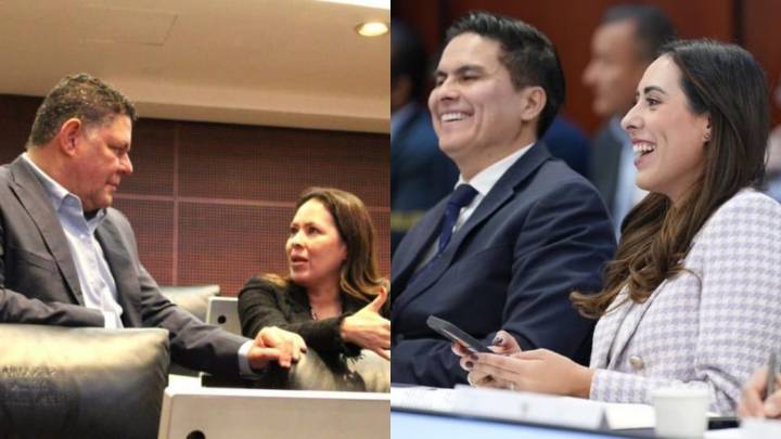 Aunque reportan tener nivel superior; mienten 30 senadores sobre la licenciatura