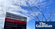 Stolen views, shipping containers and ‘shame signs’: do Australia’s tree wars need a new solution?