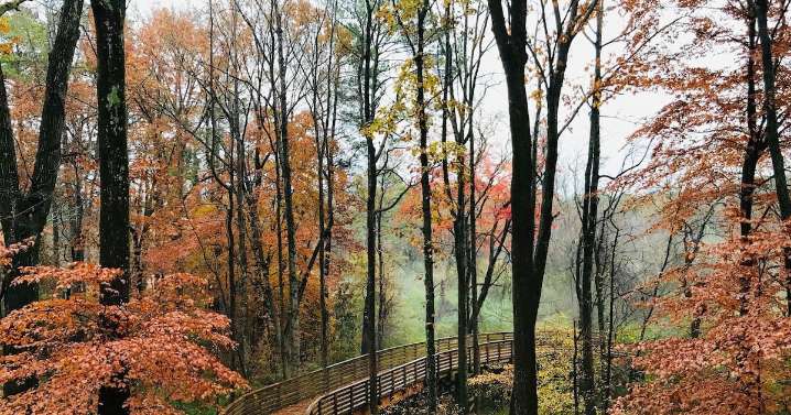 6 fall hikes in and around Atlanta to help color your world
