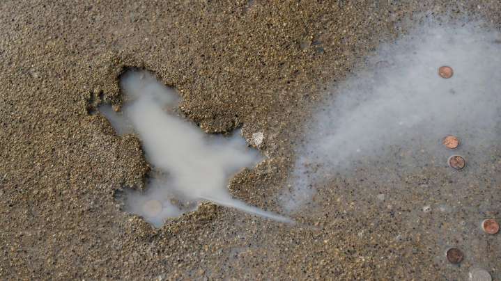 Ah, rats! Researchers say some other critter likely created Chicago's 'rat hole' sidewalk landmark