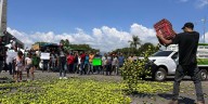 Señalan a Los Viagras por el asesinato de Bernardo Bravo, líder limonero en Michoacán
