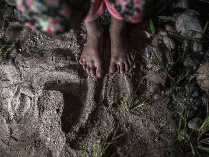 Avance de la coca ilegal aumenta la violencia sexual en la Amazonía