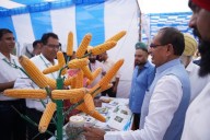 Rs 1.6 Lakh Approved Per Family For Reconstruction Of 36,703 Houses Damaged In Punjab Floods: Union Minister Chouhan