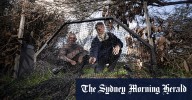 Feral cats Australia: AI smart traps rolled out to protect native species