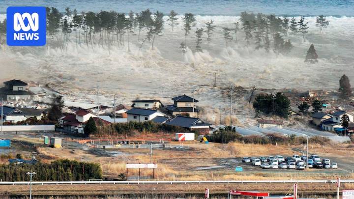 Girl's remains identified years after devastating 2011 Japan tsunami and earthquake