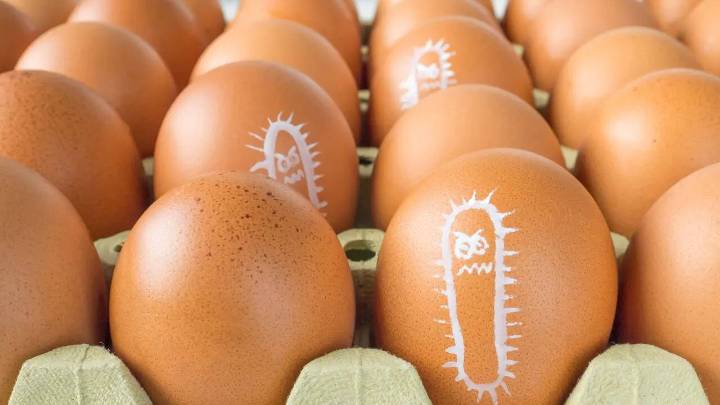 Over 6 Million Eggs Recalled In The US Over Salmonella Risk; What You Need to Know