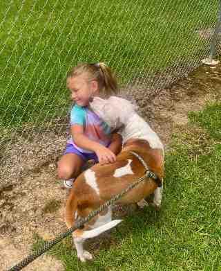 DARKHORSE DOGS: Popeye, the kid-loving pup whose tail never stops wagging