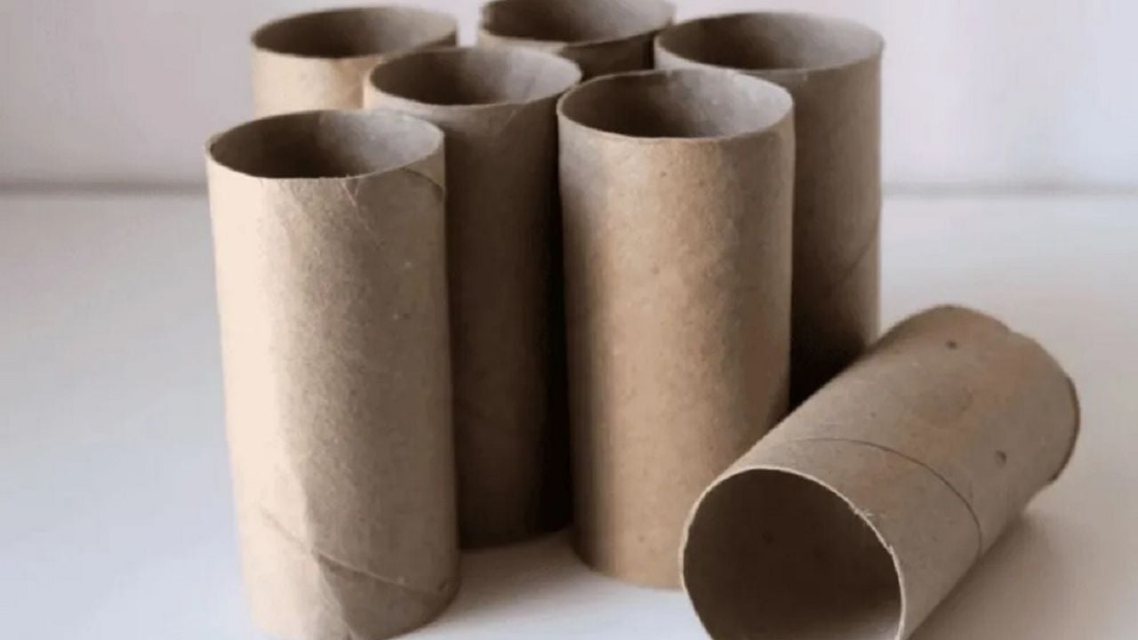 Con un tubo de cartón y esta genial idea, hacé el contenedor más versátil y decorativo