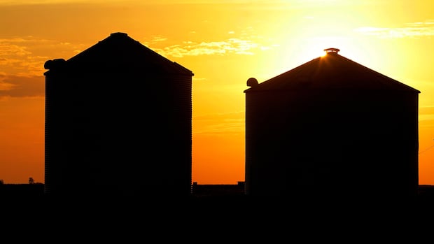 Hacktivists targeting water, energy and food systems, Canadian security centre warns