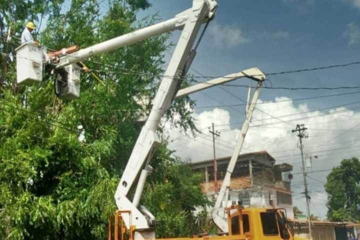 Corpoelec avanza en el control de vegetación en 198 circuitos de distribución de Zulia
