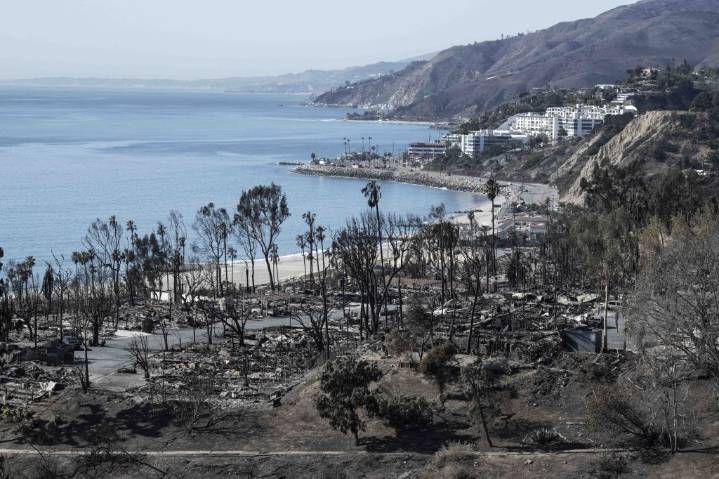 Palisades Fire "After-Action Review Report" Released By LAFD