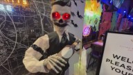 Stirring up Halloween drinks at Flying Dutchman Spirits