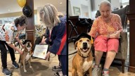 Furry friend brings comfort to seniors in Mississippi care home