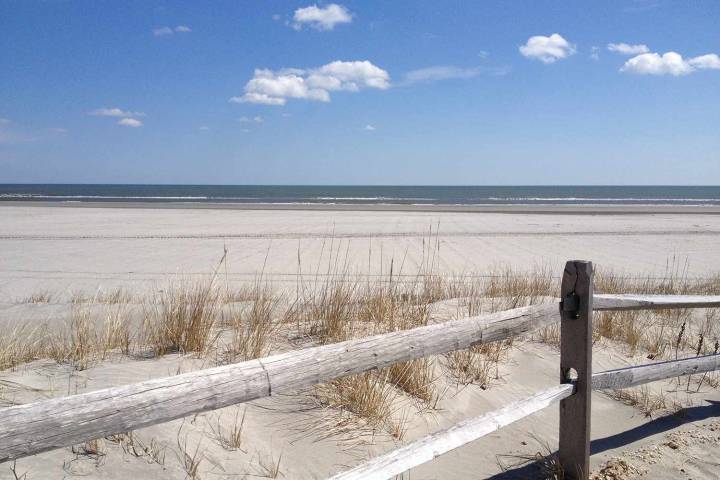 Man Hears Screaming by the Water, Swims Hundreds of Feet to Rescue Young Woman