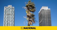 El fuerte viento obliga a cerrar los parques y jardines de Barcelona