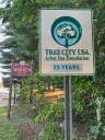 Warren is once again tapped as a "Tree City USA"