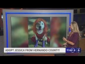 Give Jessica from Hernando County a fur