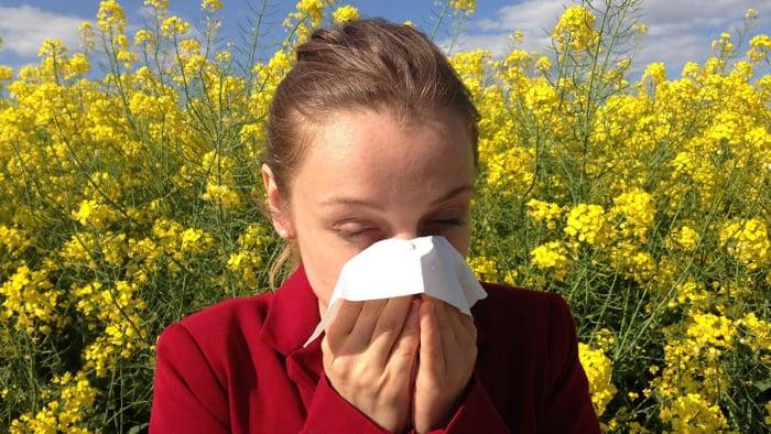 What’s Going Around: Allergies, stomach bugs, and flu infections across Houston