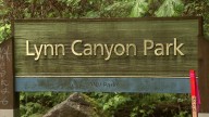 Police ask for witnesses after woman fell off a cliff at Lynn Canyon Park