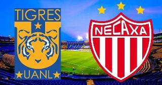Liga MX: ¿A qué hora y dónde ver en vivo el partido de Tigres vs Necaxa?