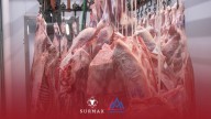 Agrosurmax anunció una oportunidad de inversión en exportación de carne vacuna a EEUU