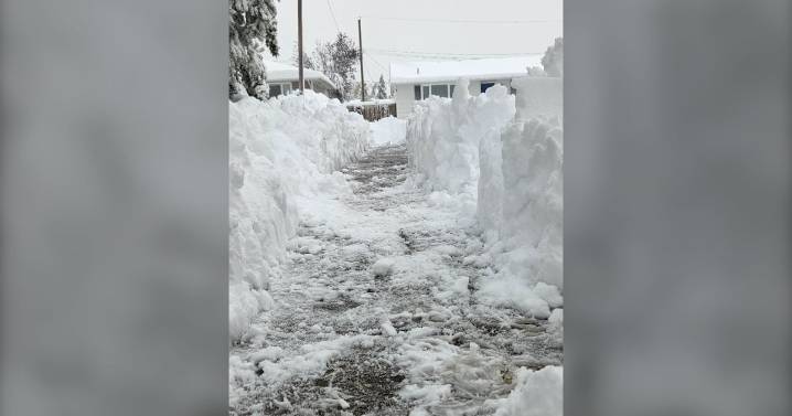 Manitoba weather: Snow hits northern Manitoba