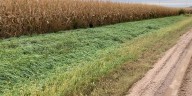 Investigation underway after baby found in ditch south of Hastings
