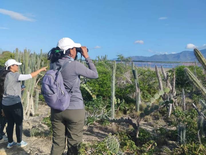 Nueva Esparta en el Top 5 Mundial de Avistamiento de Aves tras el ‘Bird Day 2025’