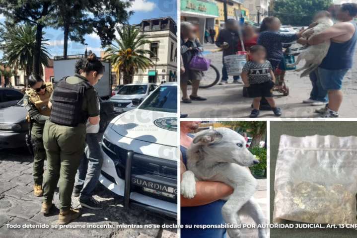 Guardia Civil Estatal detiene a hombre que maltrataba a perrito en la capital potosina