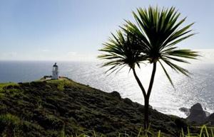 New Zealand’s seas warming faster than global average: report