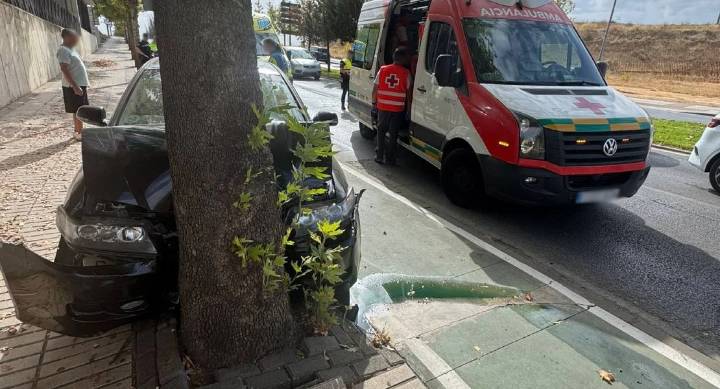 Choca contra un árbol a la altura del centro de salud de Valdepasillas