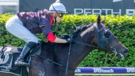 RACING 
                                          Comments
                                        
                                          Premium
                                        Heeza 