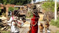 High Court upholds cancellation of forest rights of Chhattisgarh villagers
