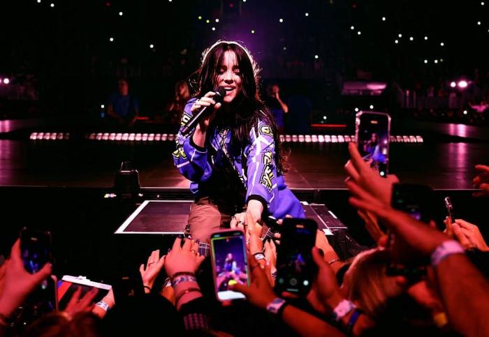 Keep Your Hands Off Billie Eilish, You Weirdos!