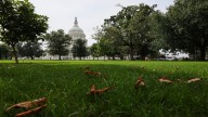 CDC reverses hundreds of layoff notices amid US government shutdown
