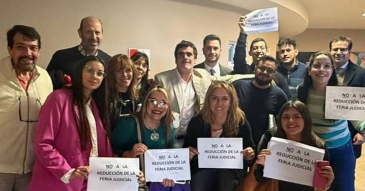 Un freno a las intenciones del Gobierno que desnudó más mentiras