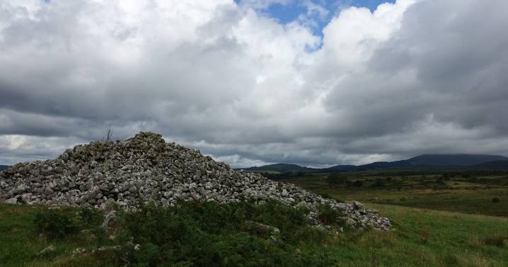 Councillors urged to trigger public inquiry over controversial plans for Galloway windfarm