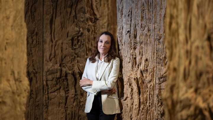Cristina Iglesias lleva el rumor del agua en un bosque mineral a La Pedrera